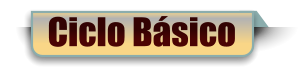 Ciclo Básico